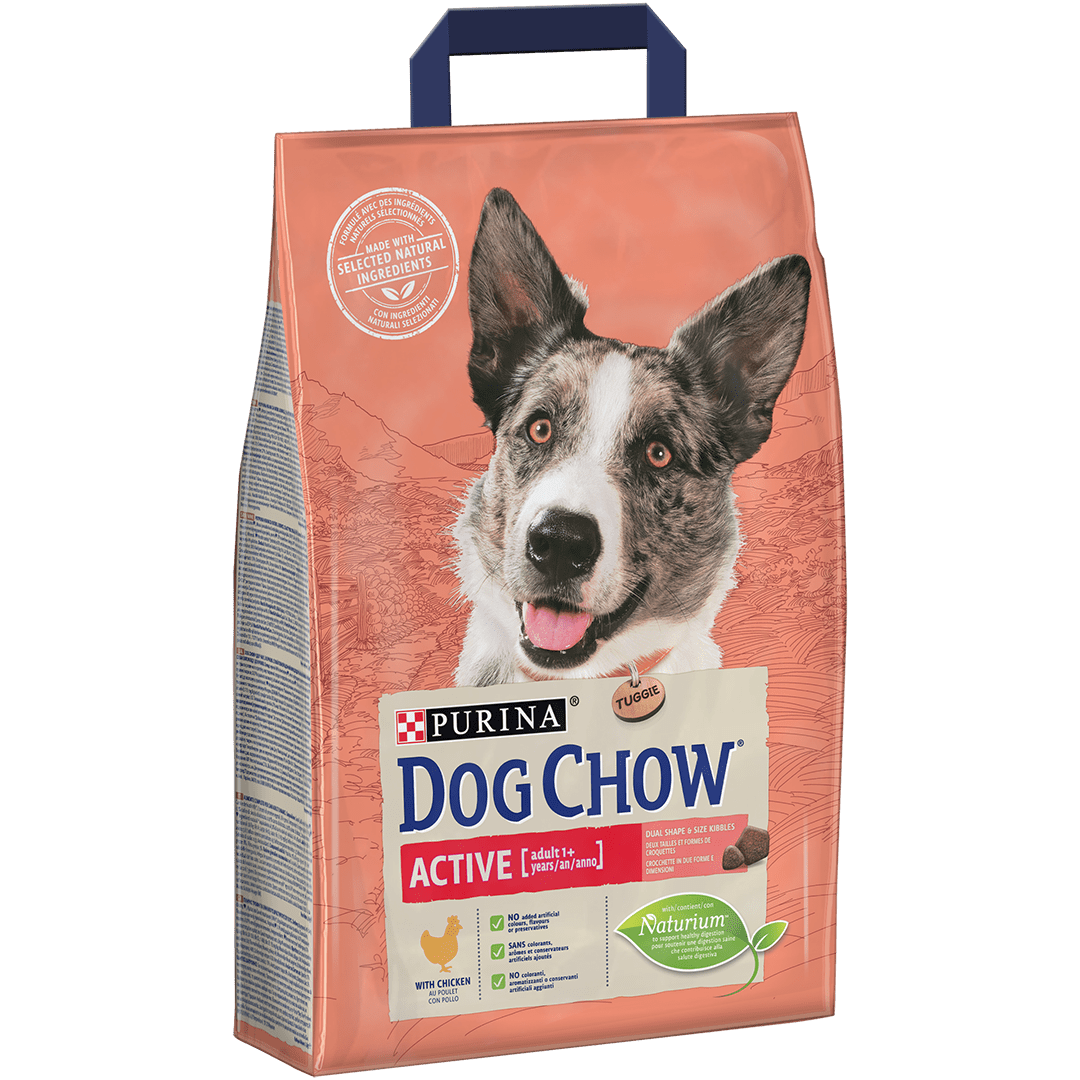 Purina dog chow active store